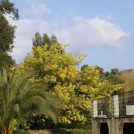 Jardins D'Antalya Bed & Breakfast Grimaud Eksteriør bilde