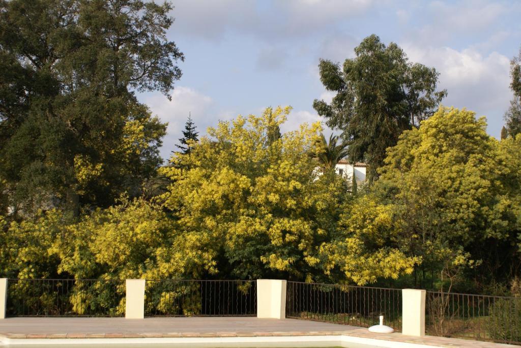 Jardins D'Antalya Bed & Breakfast Grimaud Eksteriør bilde